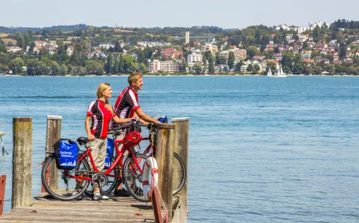 Der Bodensee-Radweg