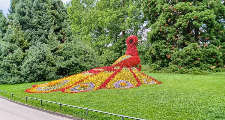 Mainau flower island