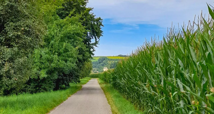 Path of Silence - Kocher-Jagst Cycle Path