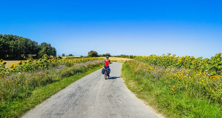 Cycling Holidays in Denmark