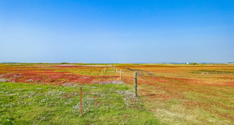 Cycling holidays in Denmark 