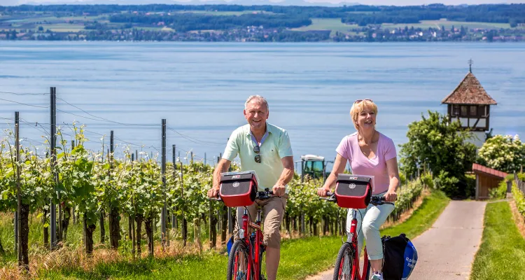 Cycling holidays in Lake Constance's hinterland