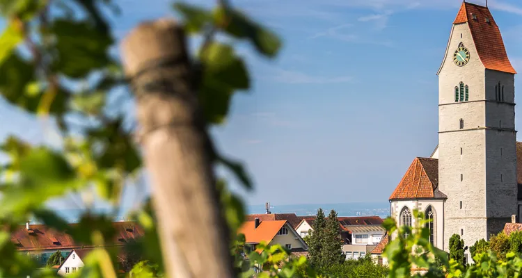 Cycling Germany - Panorama