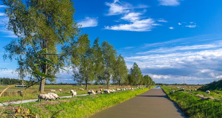 Cycling holidays: Usedom Island