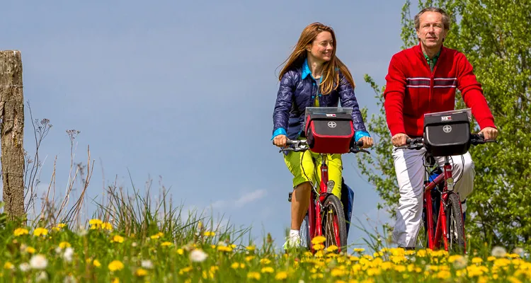 Cycling holidays between Lübeck and Stralsund: Cyclists near Lübeck