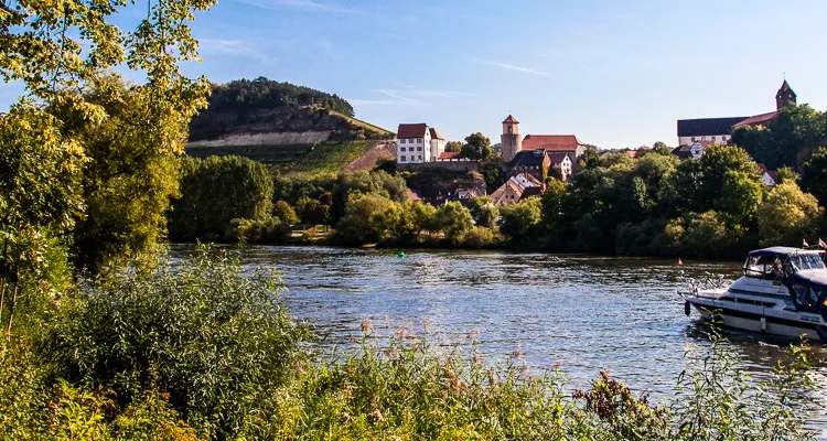 Cycling holidays along the Main - panorama