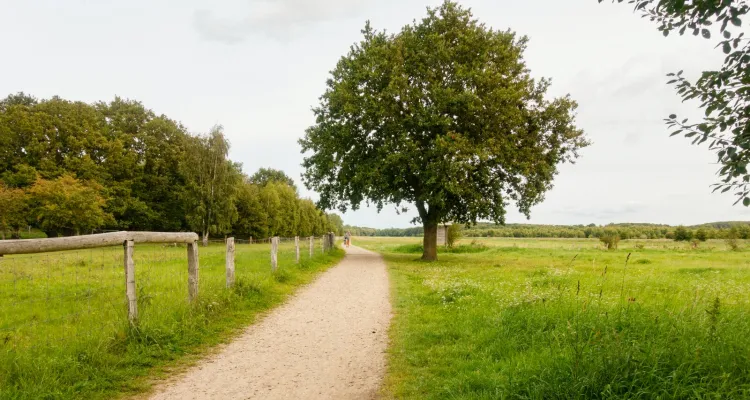 Radweg Travemünde
