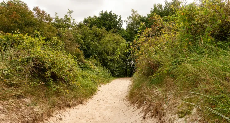 Strandaufgang bei Rosenhagen