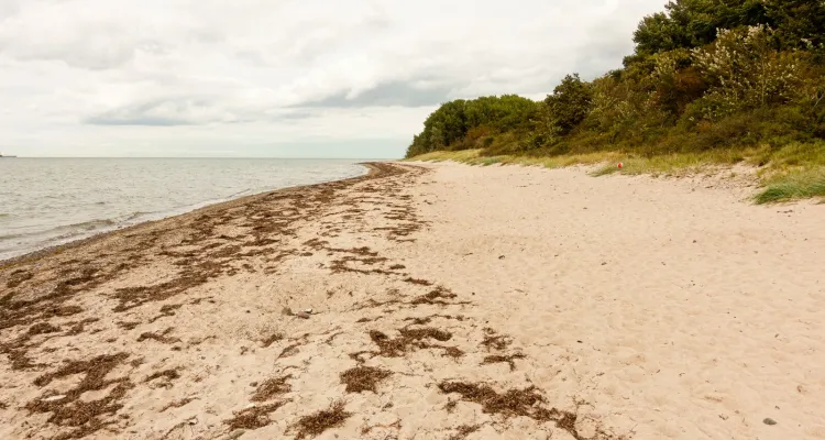 Strand Groß Schwansee