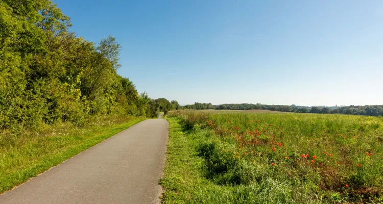 Radweg Groß Schwansee