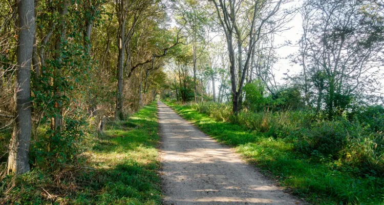 Radweg Insel Poel