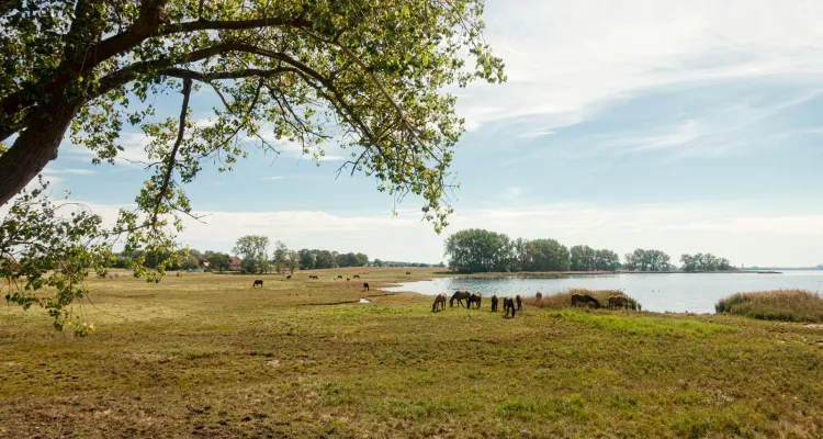 Insel Poel