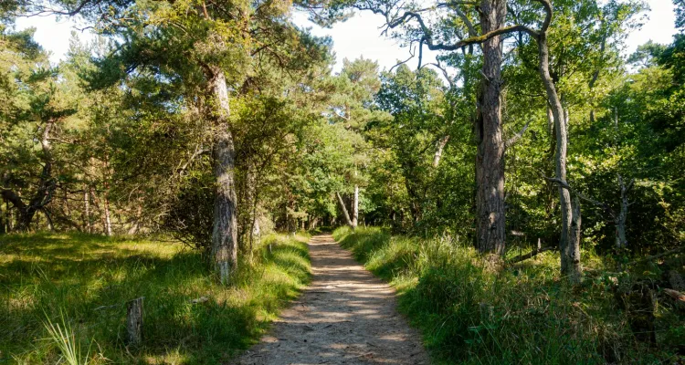 Rundwanderweg Darßer Ort