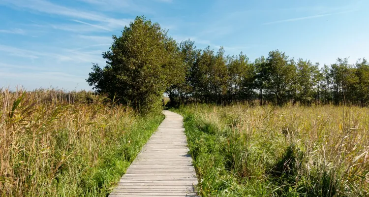 Rundwanderweg Darßer Ort