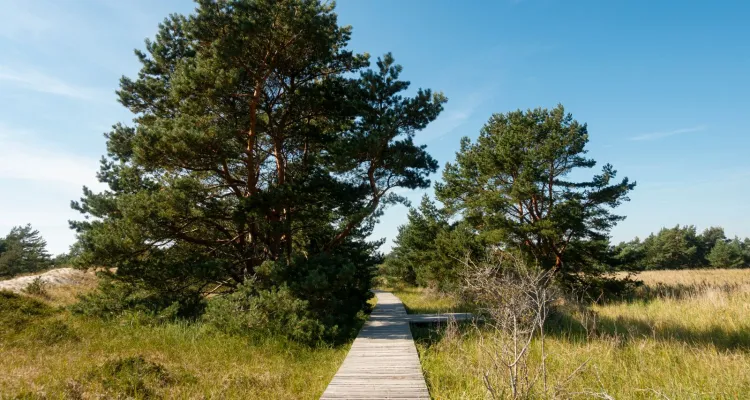 Rundwanderweg Darßer Ort