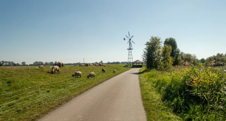 Radweg Zwischen Barth und Stralsund