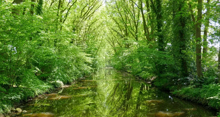 Course of the Hase-Ems cycle path