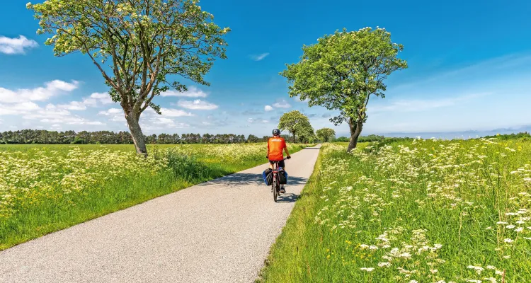 Cyclist in Funen, Denmark