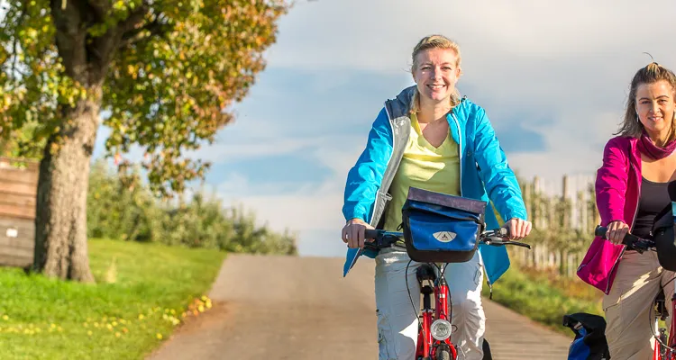 Autumn & Winter Cycling Holidays - Lake Constance