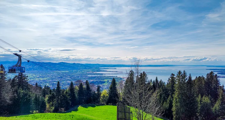 View from the Pfänder