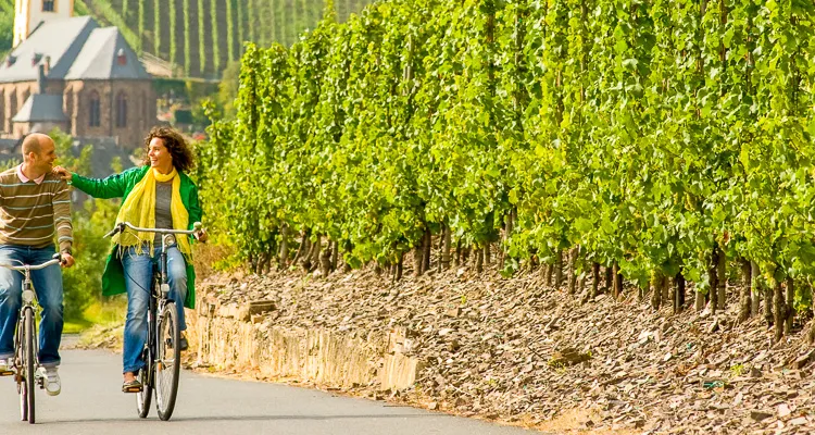 Cyclists on the Moselle Cycle Route