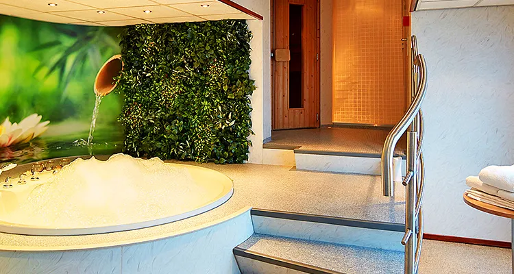 MS Carissima, Wellness area