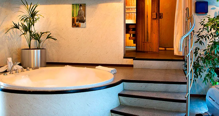 MS SE-Manon, wellness area with whirlpool and sauna