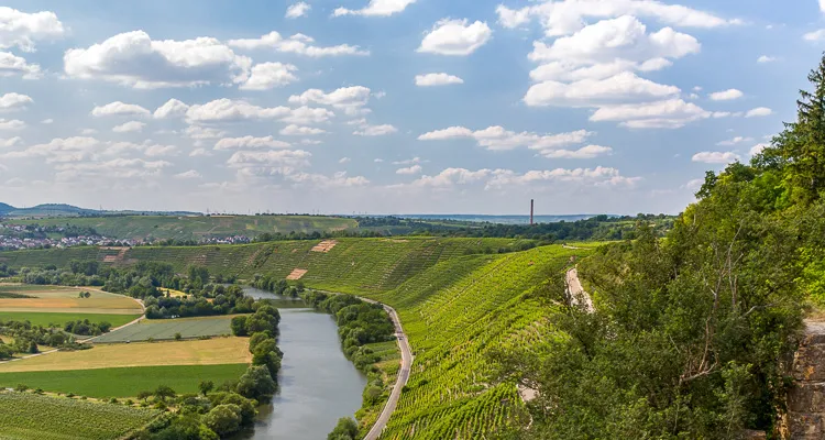 Neckar-Radweg, Hessigheim