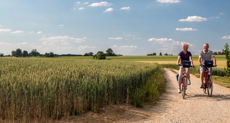 Neckar-Radweg