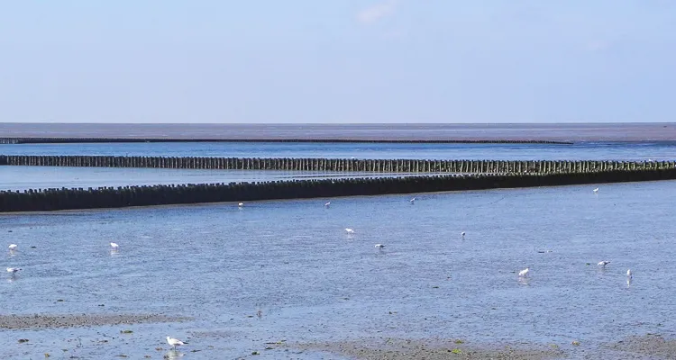 North Sea Cycle Route, Dagebüll