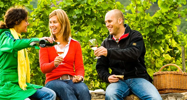 Break on the Moselle Cycle Route