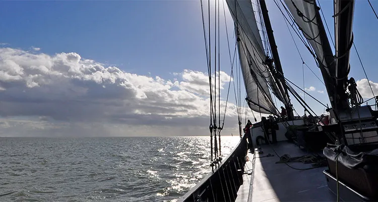 Bike and Sailing, IJsselmeer