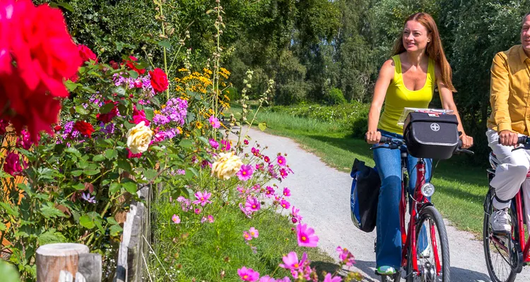 Radfahrer, Ahrenshoop