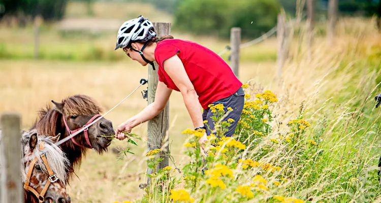 Cycling tours on Zealand