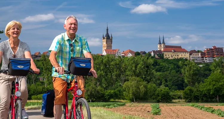 Bad Wimpfen at the Neckar Cycle Path
