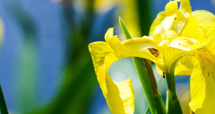 Spring bike tours