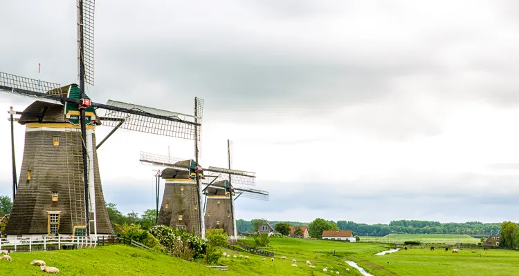 Windmills near Delft