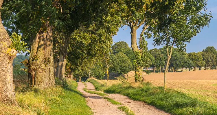 Idylle im Müritz-Nationalpark