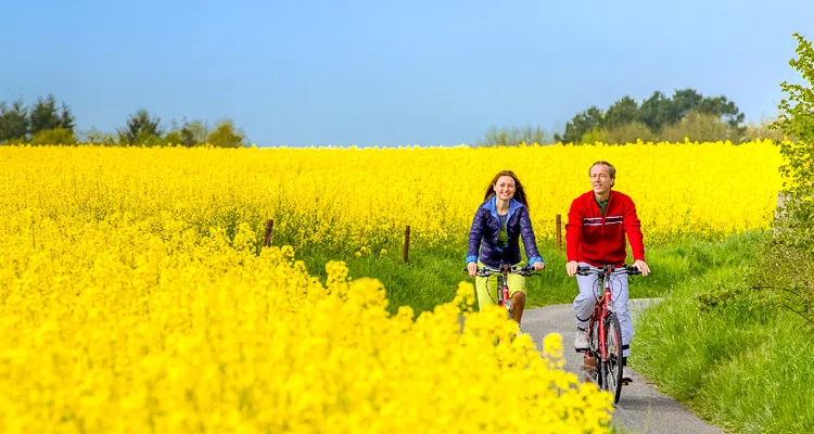 Cycling tours in Lower Saxony and North Rhine-Westphalia