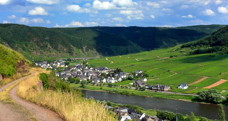 Cycling holidays in Rhineland Palatinate at the Moselle