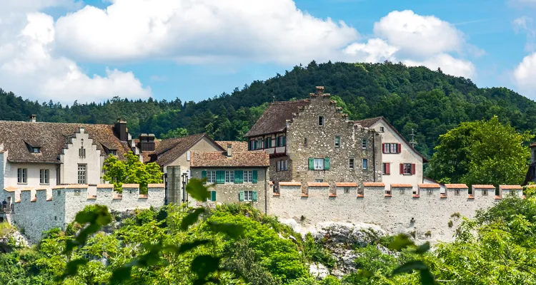 Cycling holidays to the Rhine Falls