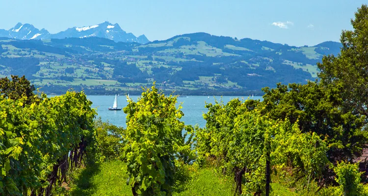 Cycling in the Lake Constance hinterland