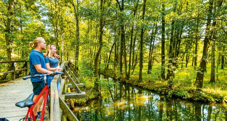 The Spreewald Cycle Tour