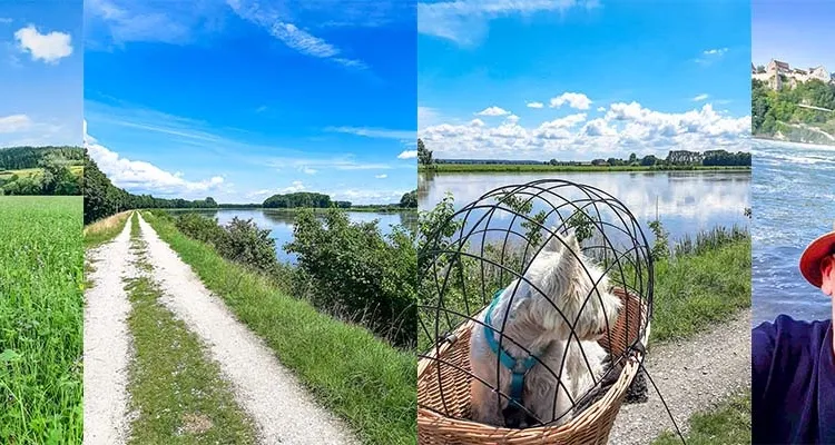 Valley of the young Danube