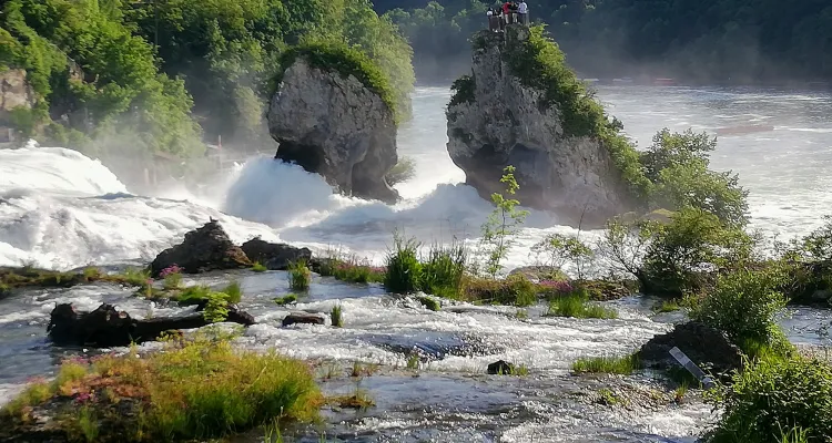 The Rhine Falls near Schaffhausen