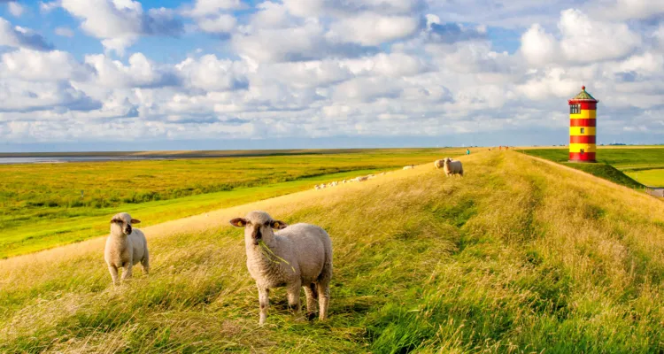 Ostfriesland