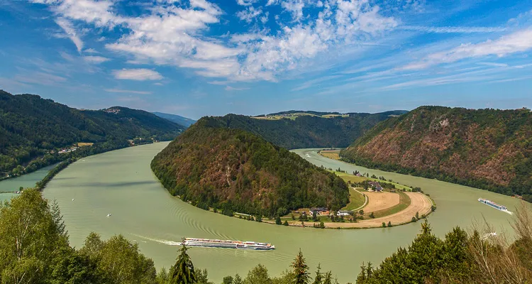 Schlögener Schlinge, Donau