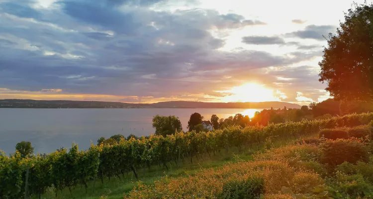Sunset on Lake Constance