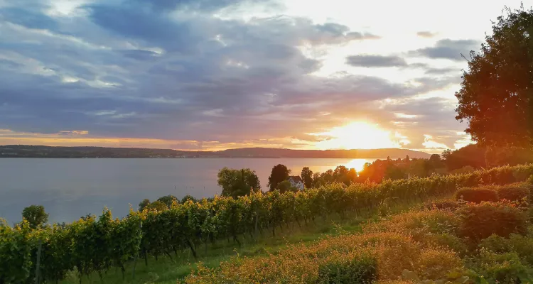 Sunset at Lake Constance