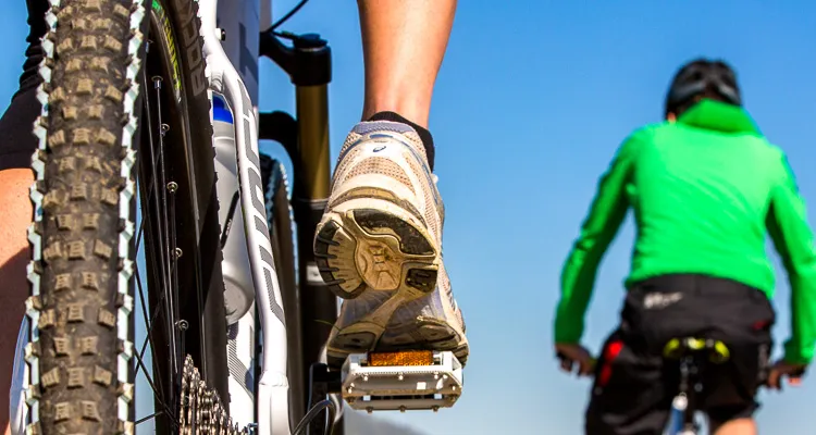 Mountainbike-Tour on Lake Constance
